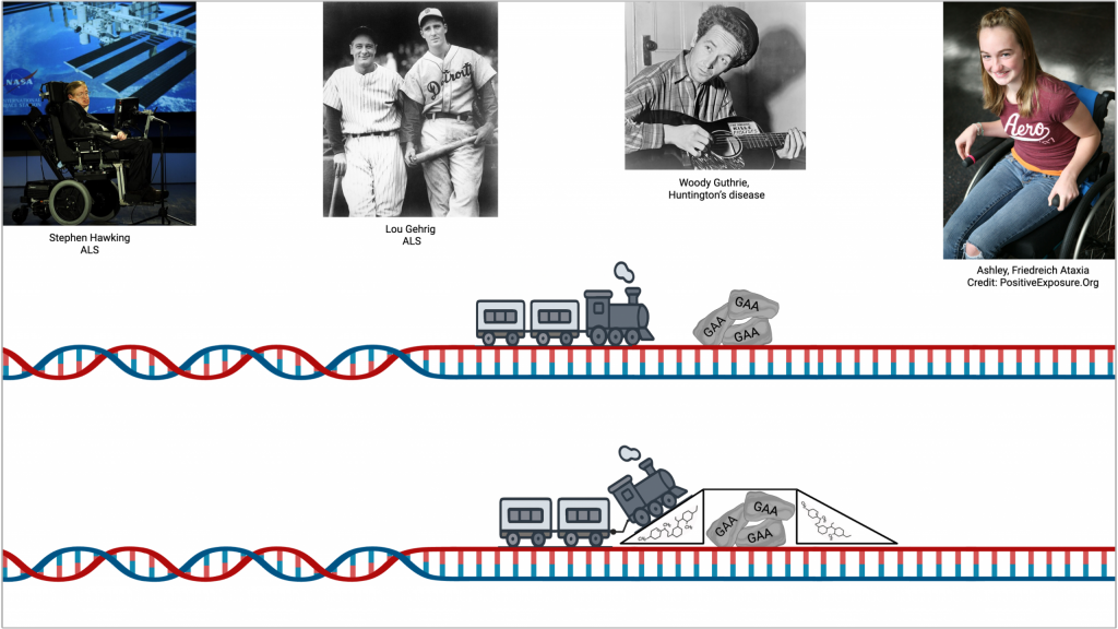 Rezaei’s presentation slide showing a train metaphor and photos of some well-known people who suffer from health issues