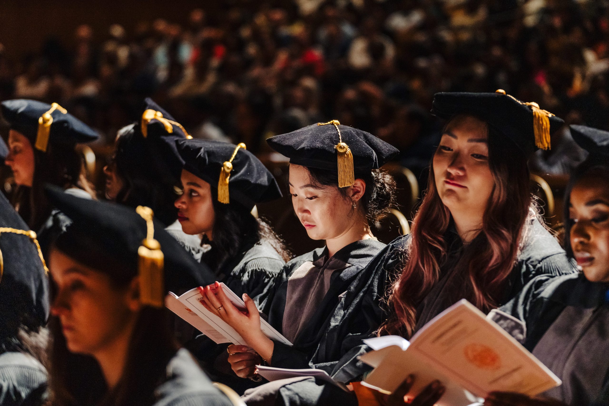 College of Pharmacy graduates at commencement.